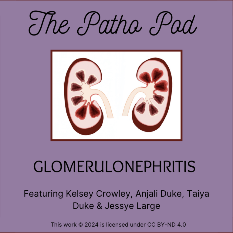 The Patho Pod: Glomerulonephritis